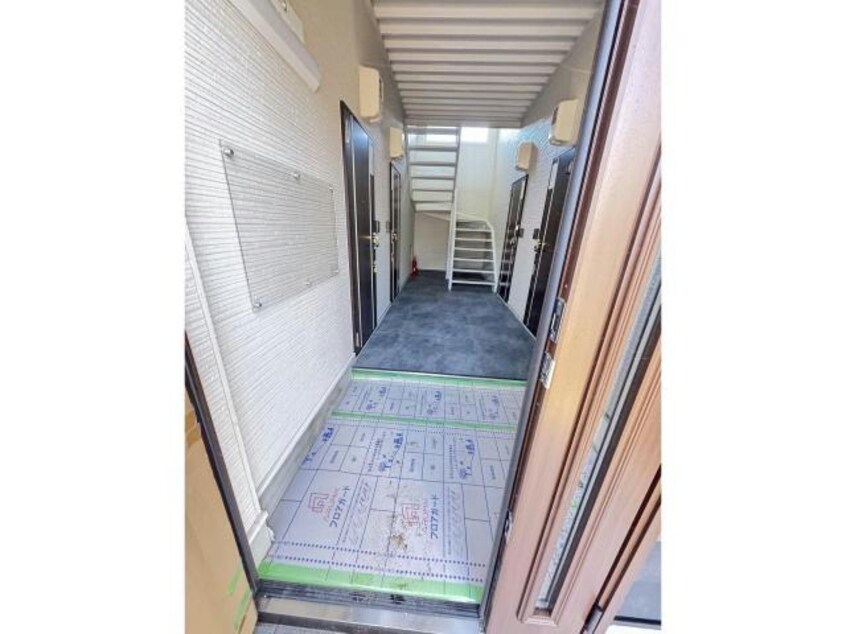  norfino Couleur【ノルフィーノクルール】