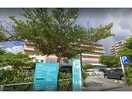おもろまちメディカルセンター(病院)まで1036m 琉球バス(那覇市)/第一天久 徒歩3分 4階 築22年