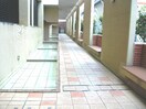  沖縄都市モノレール<ゆいレール>/おもろまち駅 徒歩10分 5階 築20年