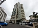 沖縄都市モノレール<ゆいレール>/壺川駅 徒歩8分 11階 築4年の外観