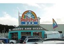 デイリーポート新鮮館　気仙沼店(スーパー)まで1800m ｳﾞｧﾝﾍﾞｰﾙ　Ⅱ