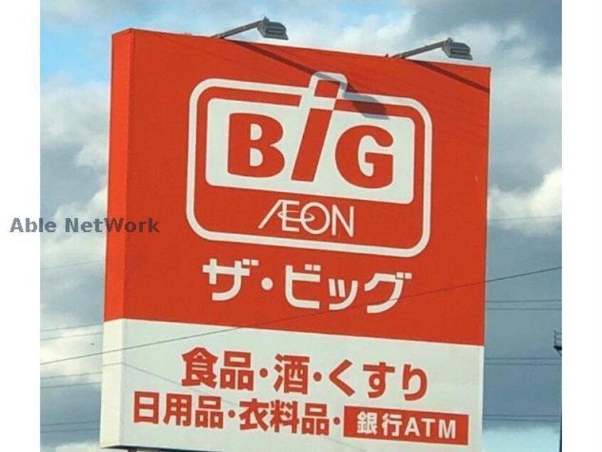 ザ・ビッグ津藤方店(ディスカウントショップ)まで1141m アーバンＭ21