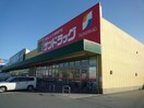 サンドラッグ島崎店(ドラッグストア)まで2491m ロイヤル江戸橋