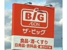 ザ・ビッグ津藤方店(ディスカウントショップ)まで1267m カーサ・メーラ　A・B