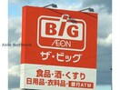 ザ・ビッグ津藤方店(ディスカウントショップ)まで1250m セジュールMONPAⅢ　Ａ･Ｂ･Ｃ棟