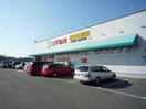 スギ薬局津新町店(ドラッグストア)まで971m ヴィラ南丸之内