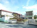 津市立立成小学校(小学校)まで639m グランビュー桜ヶ丘