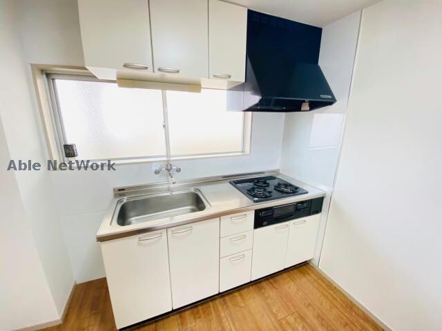  ダイアナポリス桜橋