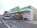 ジップドラッグ一身田店(ドラッグストア)まで1919m サンライズ江戸橋