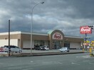 アベイル津店(ショッピングセンター/アウトレットモール)まで653m グリーンハイツ・ジニア　Ａ棟