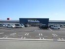 スーパーセンタートライアル津藤方店(ディスカウントショップ)まで1031m グリーンハイツ・ジニア　Ａ棟