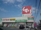 スギ薬局藤方店(ドラッグストア)まで516m エムケーハイツ