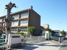 津市立北立誠小学校(小学校)まで1115m 津IN COURT練木