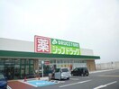 ジップドラッグ一身田店(ドラッグストア)まで1539m グリーンコーポ　Ｂ棟