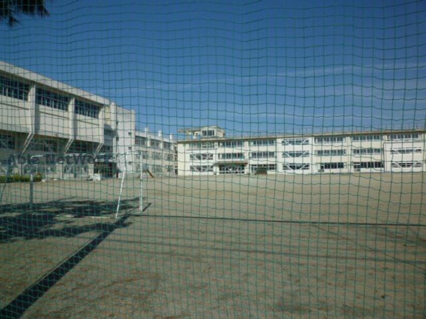 津市立新町小学校(小学校)まで890m セジュール大園　弐番館