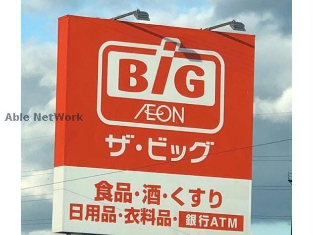 ザ・ビッグ津藤方店(ディスカウントショップ)まで928m アメニティーコーポ