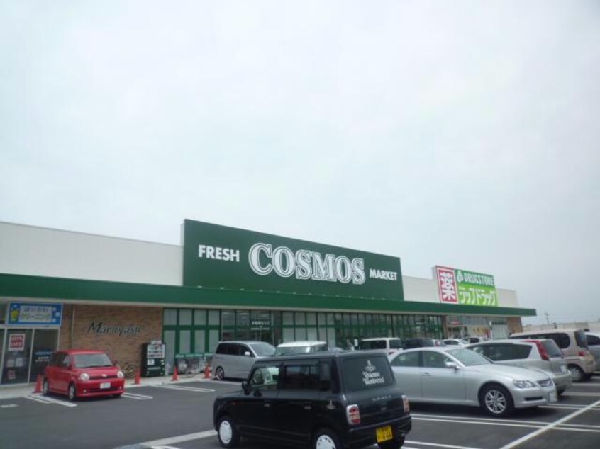 コスモス一身田店(スーパー)まで595m カーサ・中野　Ａ・Ｂ棟