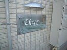  Ekur