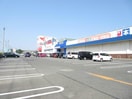 スーパーセンターオークワ河芸店(スーパー)まで2056m フリーデ　ハイムＡ・Ｂ