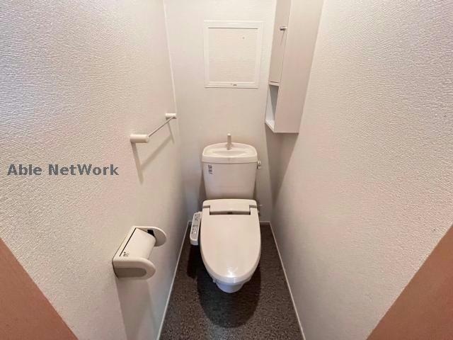  ハイシード平和