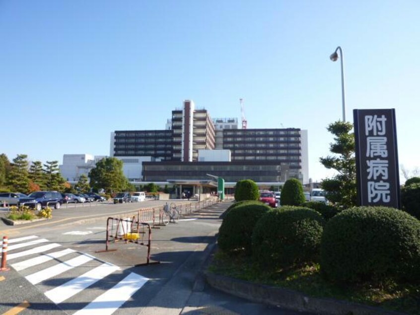 国立大学法人三重大学(大学/短大/専門学校)まで1535m East Court Sakurabashi