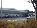 マルヤス山手通り店(スーパー)まで1365m ハイコーポオータニ　B棟