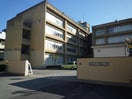 津市立橋南中学校(中学校/中等教育学校)まで1598m プリティハウス若津　Ⅰ・Ⅱ
