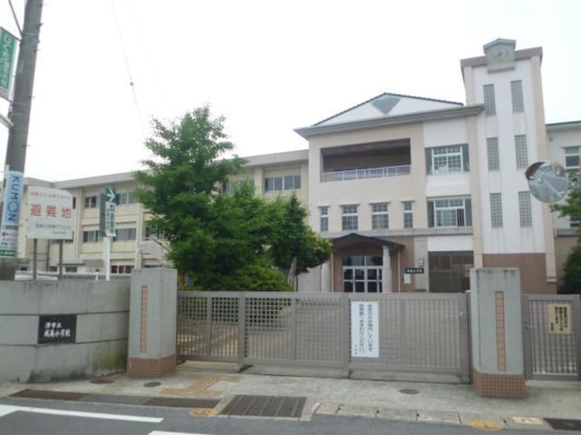 津市立成美小学校(小学校)まで617m 第四東雲　A棟B棟