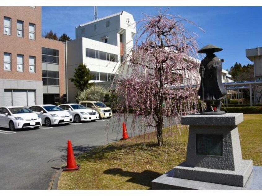 私立高田短期大学(大学/短大/専門学校)まで1177m Aria