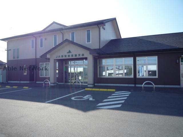 JA津安芸芸濃支店(銀行)まで1850m スプリングフィールド　Ⅵ