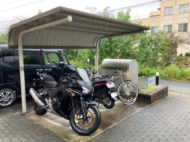  パラディーゾC