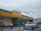 ぎゅーとらラブリー一志店(スーパー)まで1148m パラディーゾC