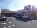 スギドラッグ津神戸店(ドラッグストア)まで886m 美川町貸家