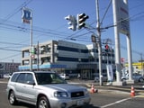 スカイラーク