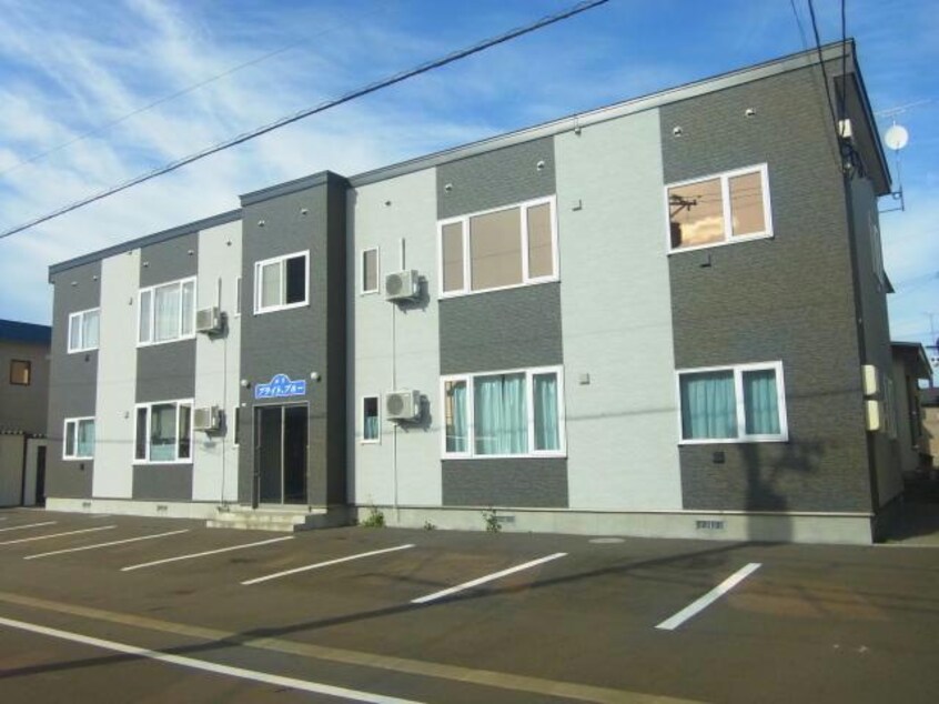  ルリ・ブライト・ブルー