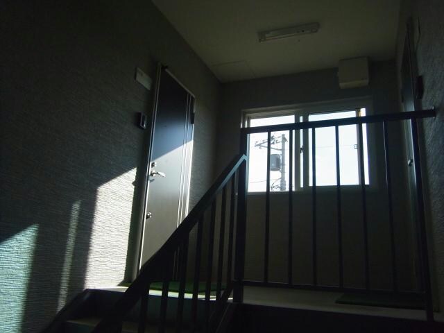  ルリ・ブライト・ブルー