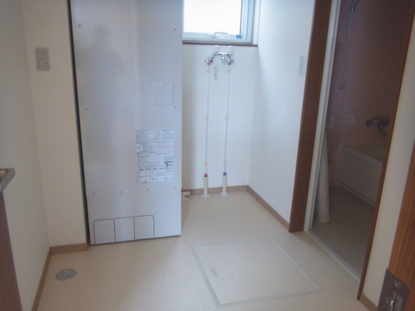  ルリ・ブライト・ブルー