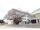 日立市立大久保小学校(小学校)まで826m アプリコット多賀