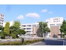国立大学法人茨城大学工学部(大学/短大/専門学校)まで1878m サニーヒル会瀬　１号館