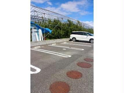  チェリーミルＣ