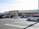 ヨークベニマル神町店(スーパー)まで1458m チェリーミルＣ