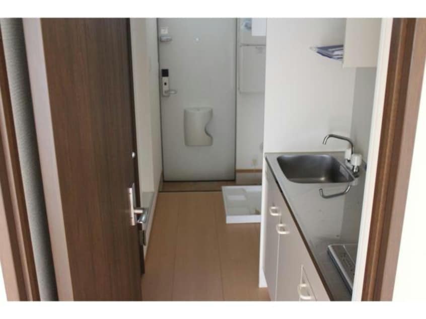  Ｌｉｇｈｔ　Ｃｏｒｐｏ