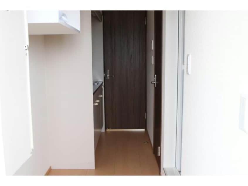  Ｌｉｇｈｔ　Ｃｏｒｐｏ