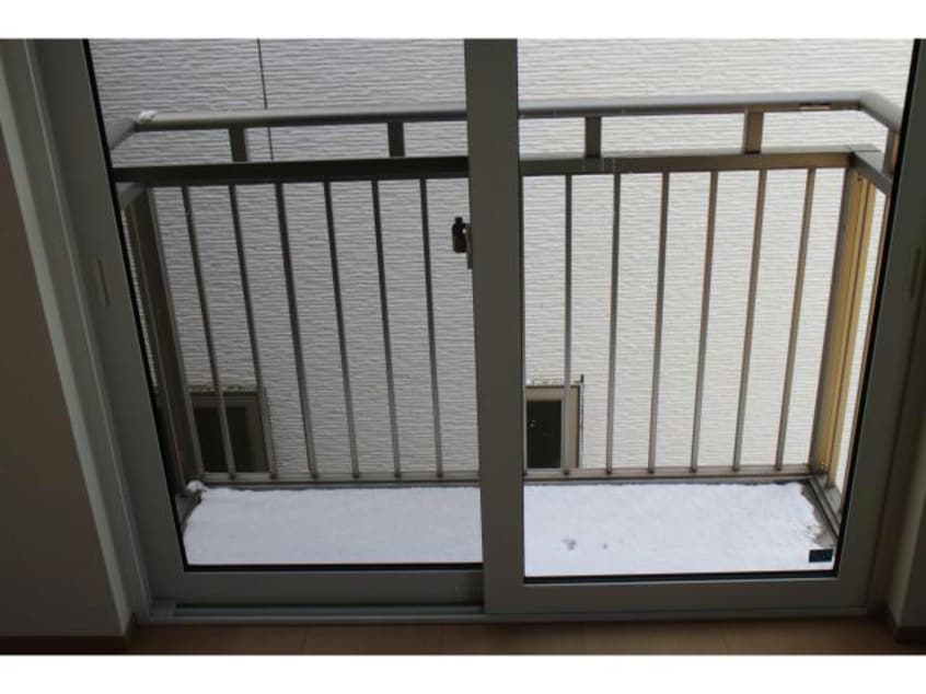  Ｌｉｇｈｔ　Ｃｏｒｐｏ