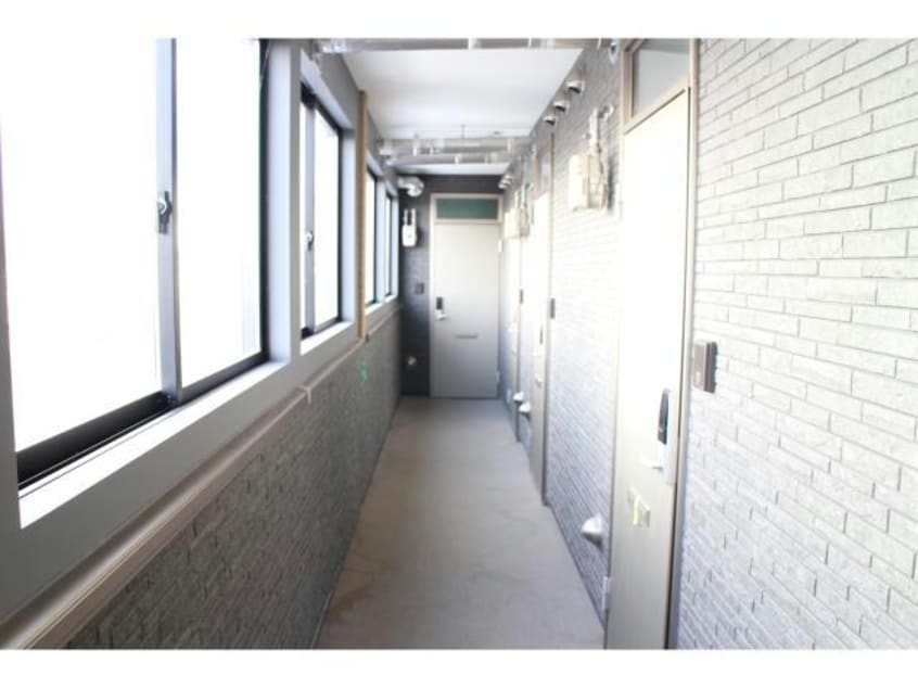  Ｌｉｇｈｔ　Ｃｏｒｐｏ