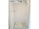  サン・ホワイト久野本