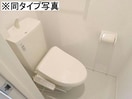  サン・ホワイト久野本