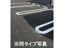  チェリーブロッサム
