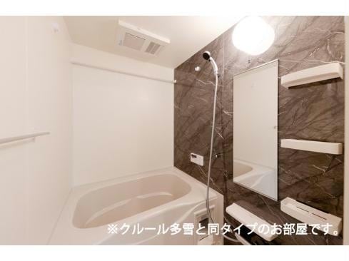  グレープシードⅡ