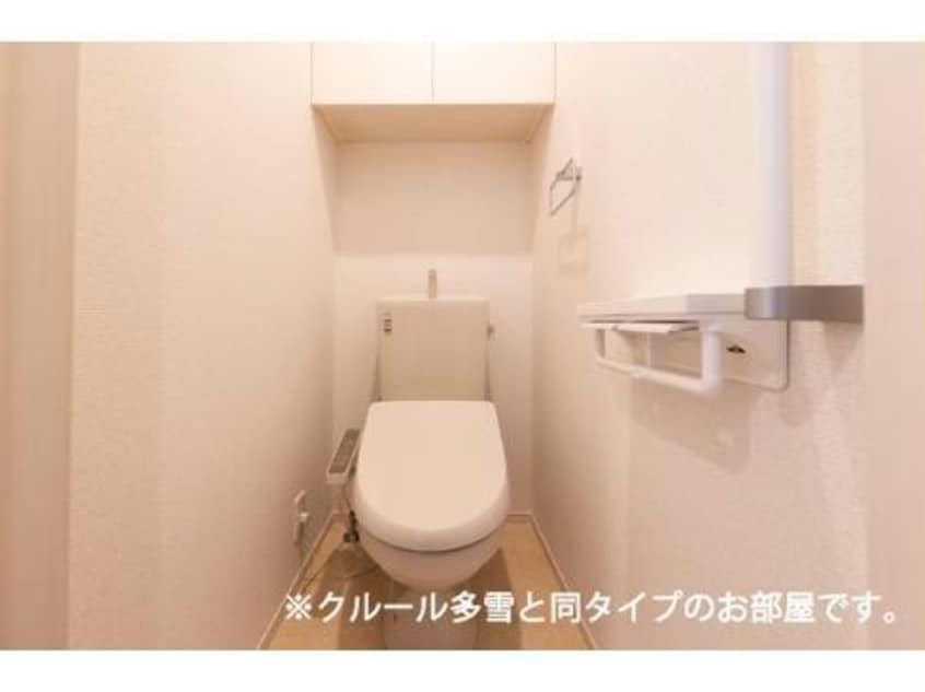  グレープシードⅡ